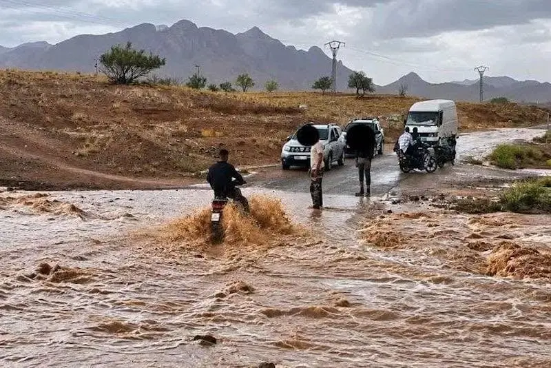 أمطار استثنائية تنعش واحات درعة-تافيلالت بعد سنوات الجفاف أمطار استثنائية تنعش واحات درعة-تافيلالت بعد سنوات الجفاف