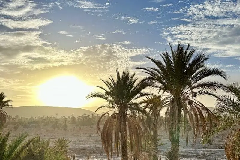 تغيرات جوية مرتقبة اليوم الخميس بعدد من مناطق المملكة تغيرات جوية مرتقبة اليوم الخميس بعدد من مناطق المملكة