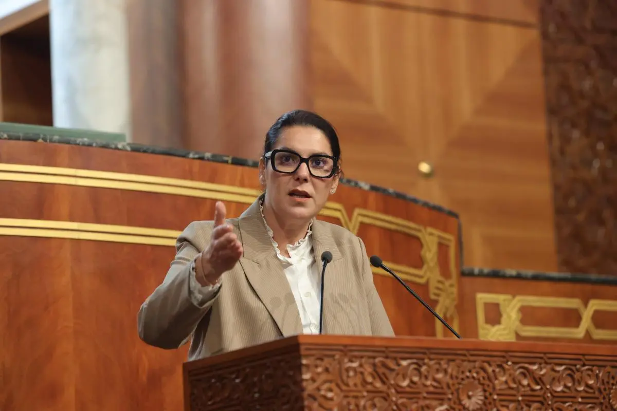 المنصوري تؤكد أن الحكومة الجديدة ترفض تعميق الفوارق الاجتماعية بين المغاربة المنصوري تؤكد أن الحكومة الجديدة ترفض تعميق الفوارق الاجتماعية بين المغاربة